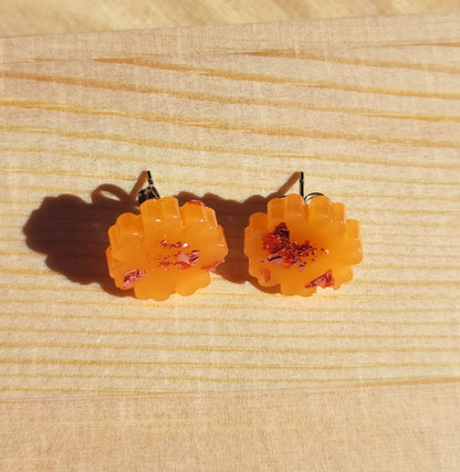 Clous d'oreilles - Noa