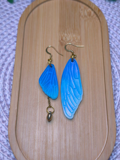 Boucles Cigale Asymétrique