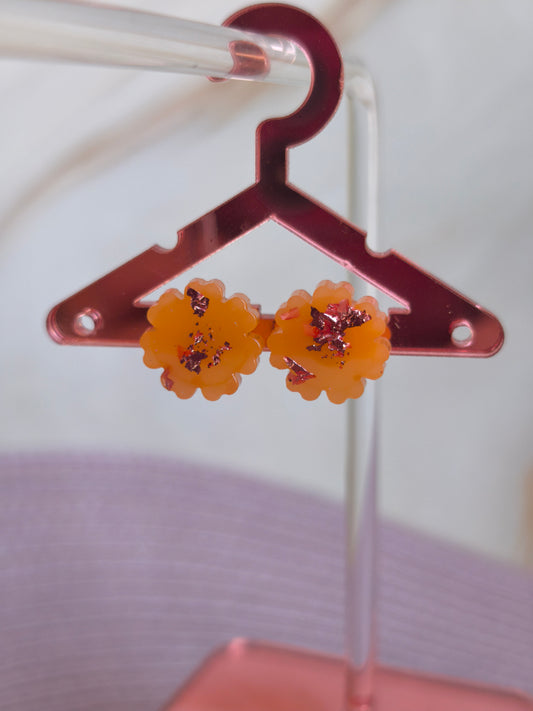 Clous d'oreilles - Noa