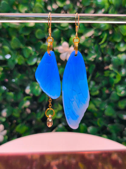 Boucles Cigale Asymétrique