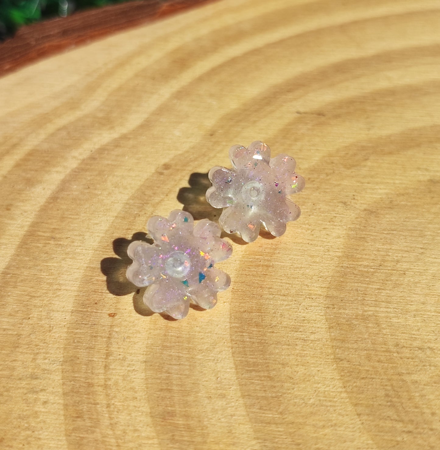 Clous d'oreilles - Noa