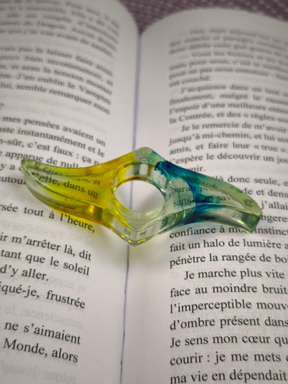 Bague de lecture