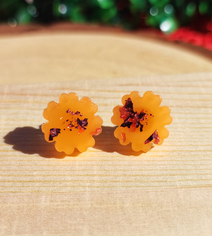 Clous d'oreilles - Noa