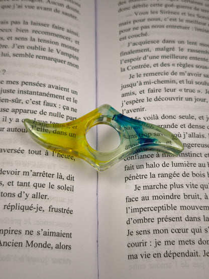 Bague de lecture