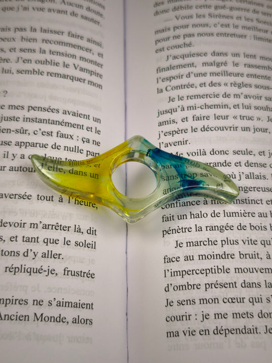 Bague de lecture