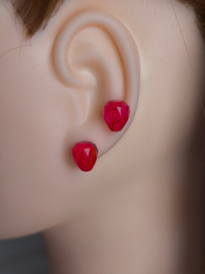 Clous d'oreilles - Clarion